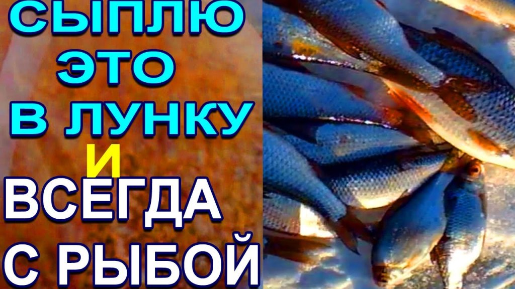 Всегда с рыбой зимой когда сыплю это в лунку!! Ловится вся рыба на зимней рыбалке Всегда с рыбой зимой когда сыплю это в лунку!! Ловится вся рыба на зимней рыбалке
