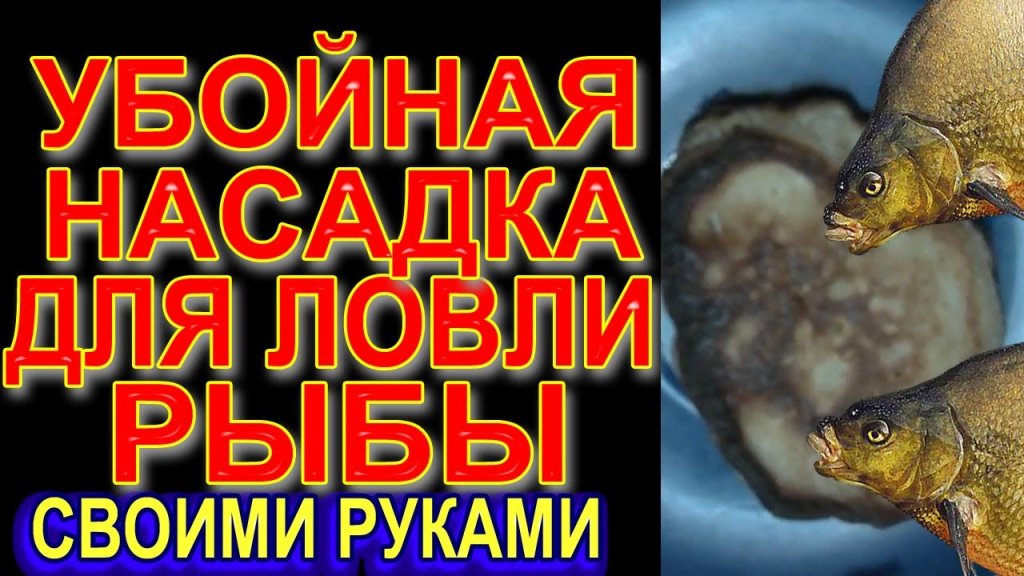 Убойная насадка на которую клюёт вся рыба на реке и озере Убойная насадка на которую клюёт вся рыба на реке и озере