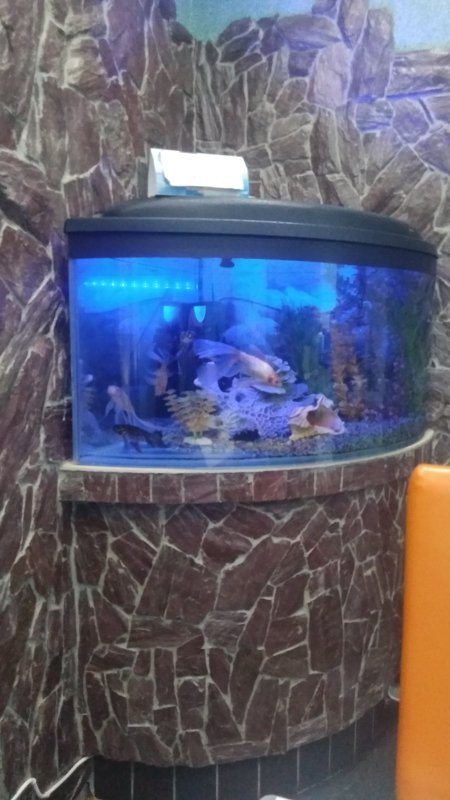 Хочу на рыбалку!!!🎣🦈