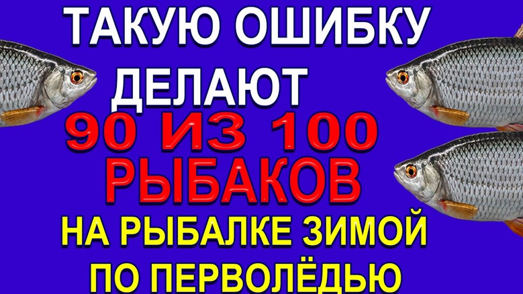 На рыбалке зимой  не сыпьте прикормку в лунку  по перволедью ПОКА НЕ ПОСМОТРИТЕ ЭТО ВИДЕО!