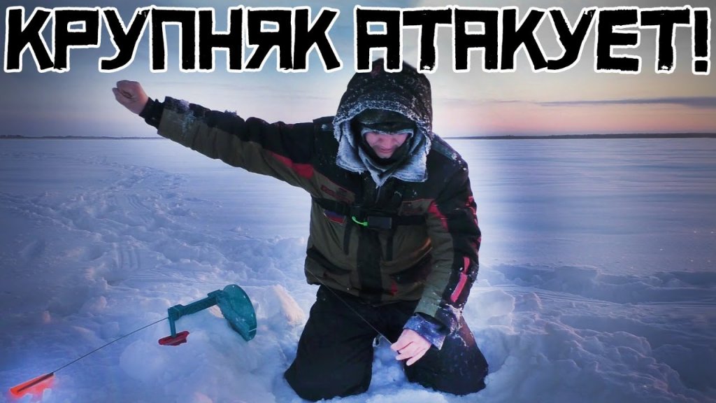 Рыбалка в Сибирской тайге! Огромная щука, домик и отменный клёв! Рыбалка в Сибирской тайге! Огромная щука, домик и отменный клёв!