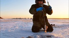 Рыбалка по первому льду, в лютый мороз!не успеваю опустить блесну! Окуни атакуют