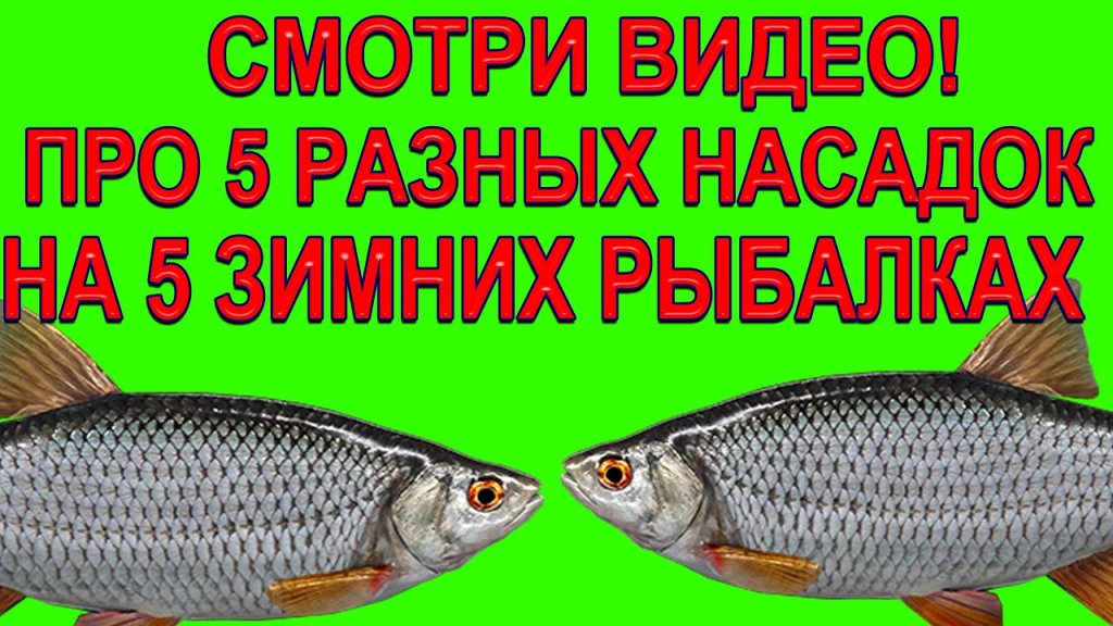 Посмотрев это видео вы узнаете о 5 разных насадках на 5 зимних рыбалках