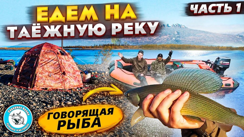 ТАЕЖНАЯ РЕЧКА.  За ХАРИУСОМ. Простая РЫБАЛКА на спиннинг. Таежная река. Хариус на реке. fishing