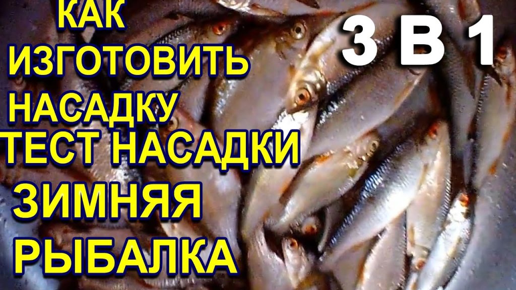 Зимняя рыбалка на отличную насадку, опарыш с укропом +тест на рыбалке + изготовление наживки