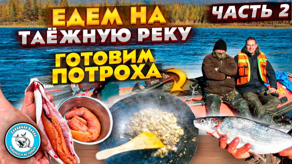 ТАЕЖНАЯ речка. Большой ЛЕНОК на УЛЬТРАЛАЙТ. Жарим рыбьи потроха. Ловля хариуса на блесну.