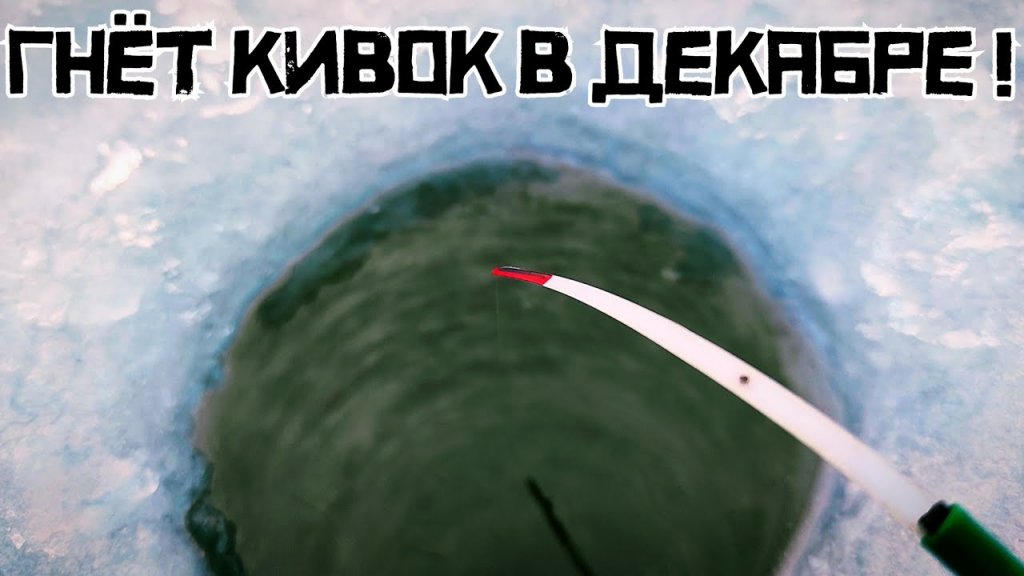 Проверил 52-й км и тульскую яму. Рыбалка в НСО. Проверил 52-й км и тульскую яму. Рыбалка в НСО.