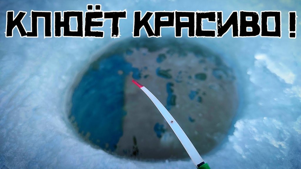 Плотва клюёт в Колывани! Рыбалка на манку с анисом удалась! Плотва клюёт в Колывани! Рыбалка на манку с анисом удалась!