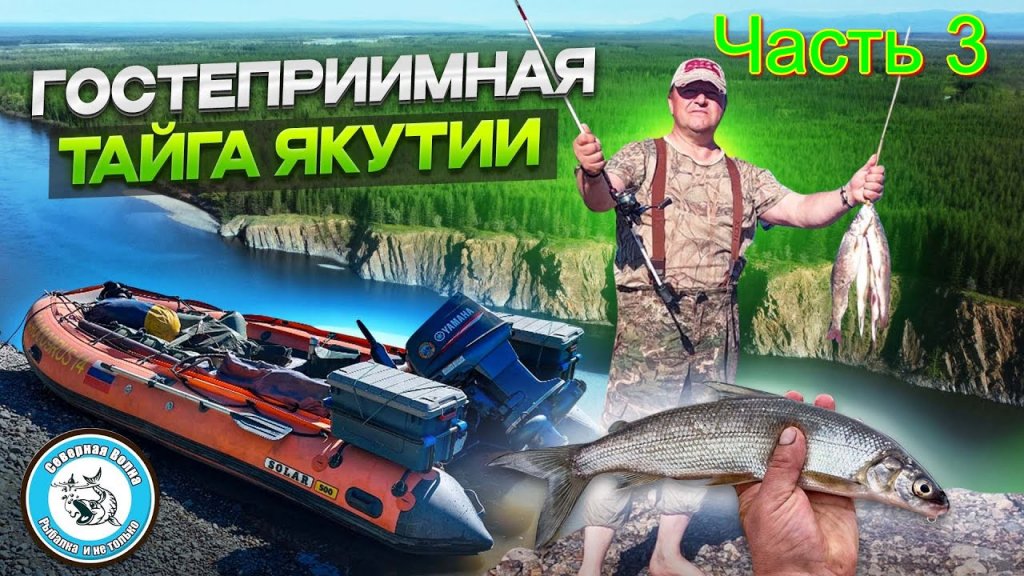 Один в тайге. Отличный улов. Солим хариуса. Готовим уху на костре. Один в тайге. Отличный улов. Солим хариуса. Готовим уху на костре.
