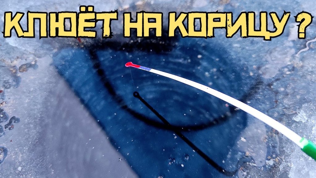 Рыбалка на котловане "Левая Обь". г. Новосибирск. Эксперимент с корицей!