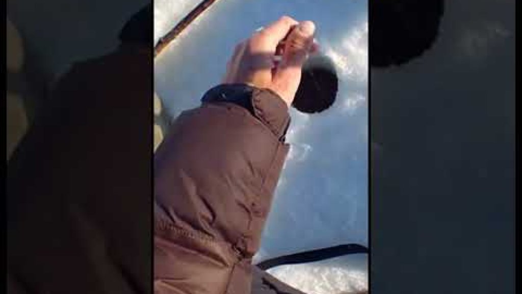 Зимняя рыбалка на мормышку ловля плотвы Зимняя рыбалка на мормышку ловля плотвы