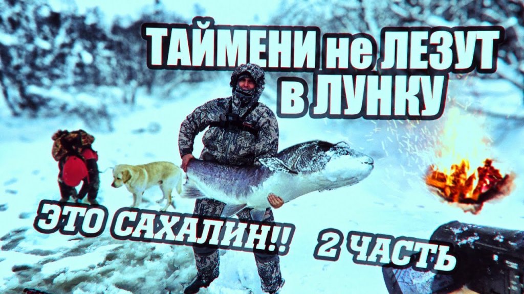 Рыбалка в Челябинской области на зимнюю щуку: видео на жерлицы
