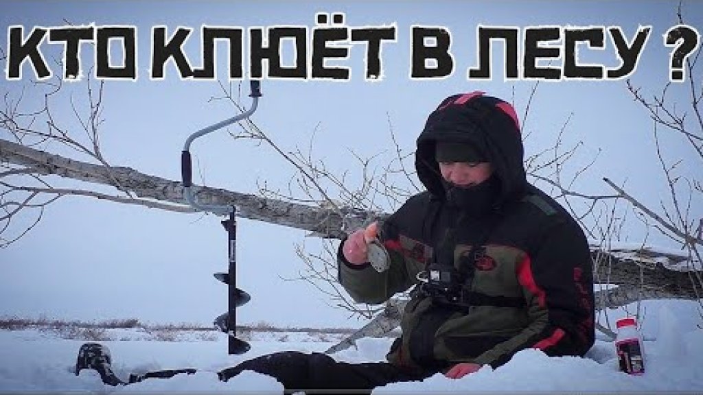Закормил клубникой затопленный лес о.Глухого. Будет ли крупняк? Закормил клубникой затопленный лес о.Глухого. Будет ли крупняк?