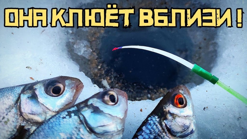 Вторая протока (Матвеевка) Рыбалка в НСО. Новая серия! Вторая протока (Матвеевка) Рыбалка в НСО. Новая серия!