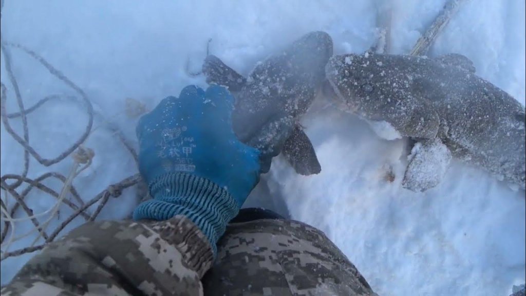 В Якутии в -50° почти всё замерзает. Проверяем перемёт.