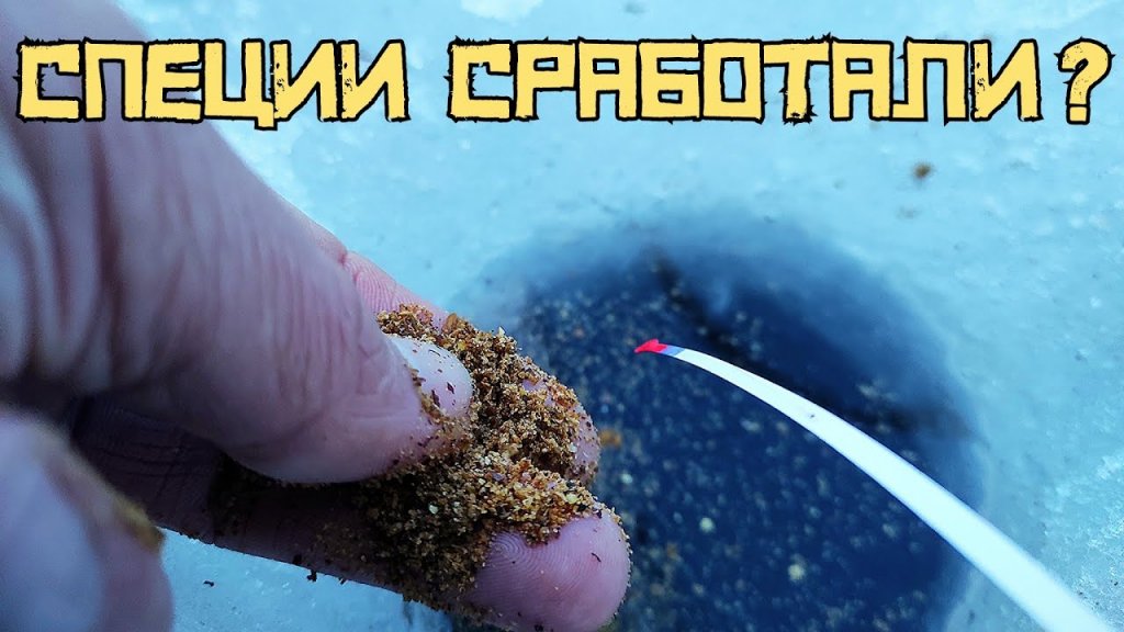 Наконец-то! Половил рыбы в черте г.Новосибирск. Запах специй сработал!