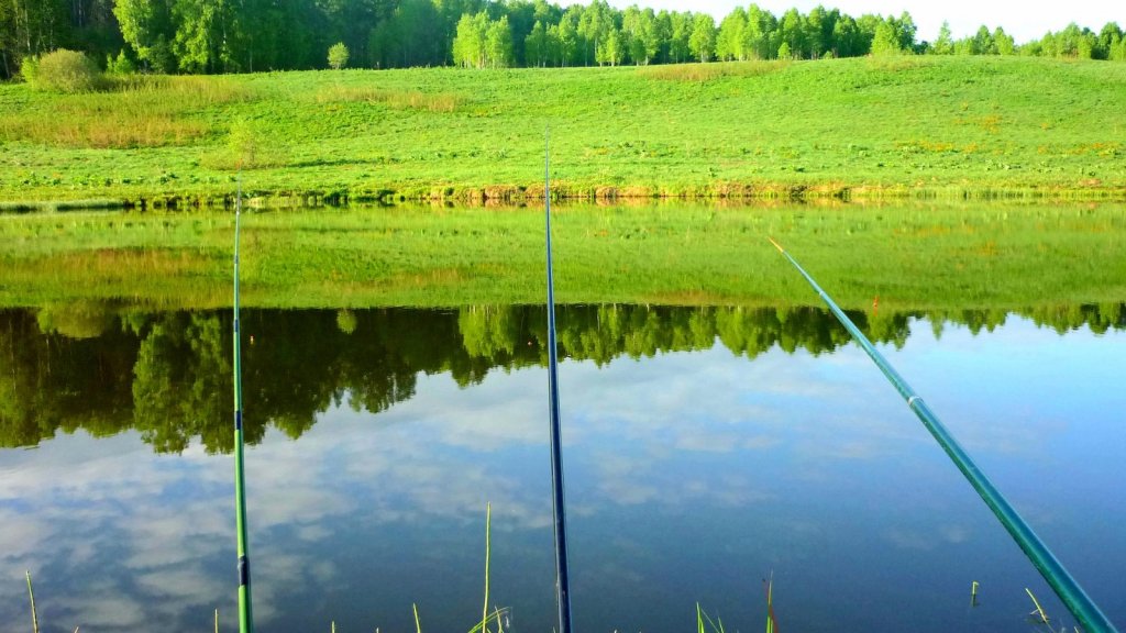 Зеркало природы.... Зеркало природы....
