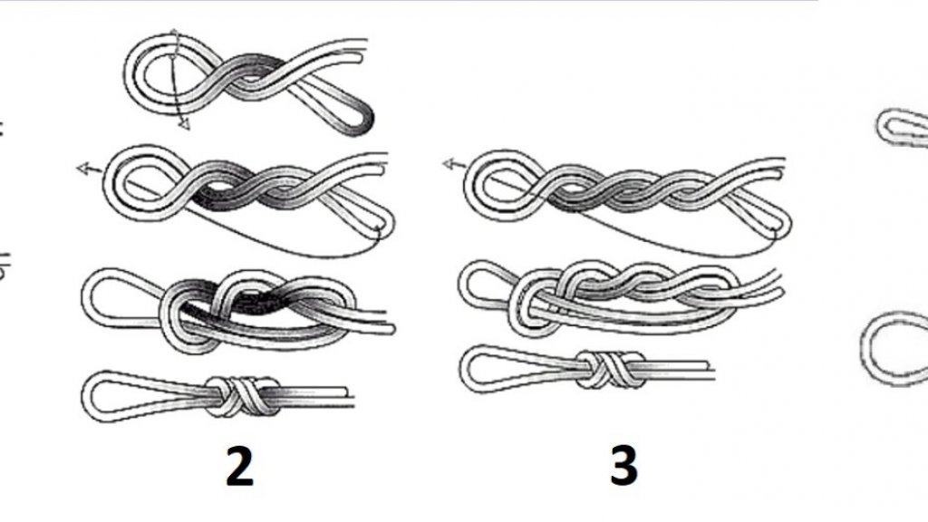 Uzel na vodítku. Co je lepší - Palomar nebo Eight?