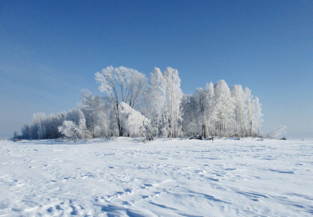 Чем лучше погода, тем хуже клёв.