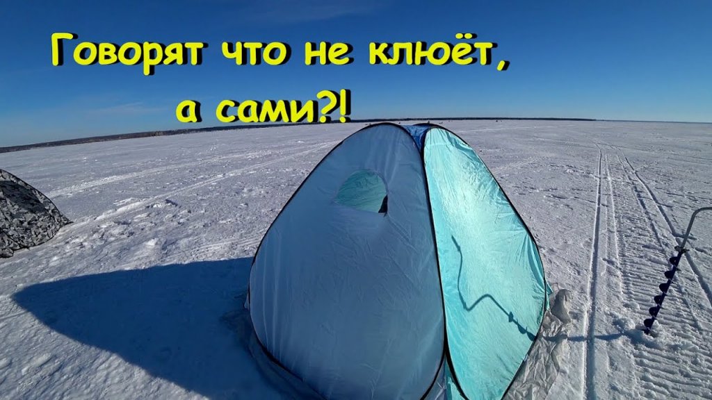 Нашли много окуня. Нашли много окуня.