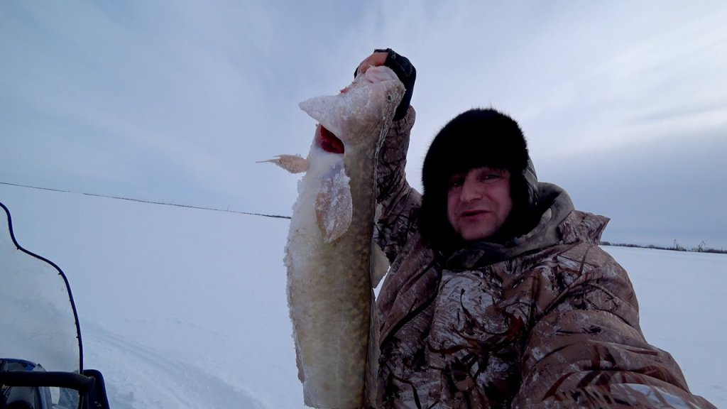 Рыбалка на налима за Северным полярным кругом. Лучшее оснащение жерлиц на налима.
