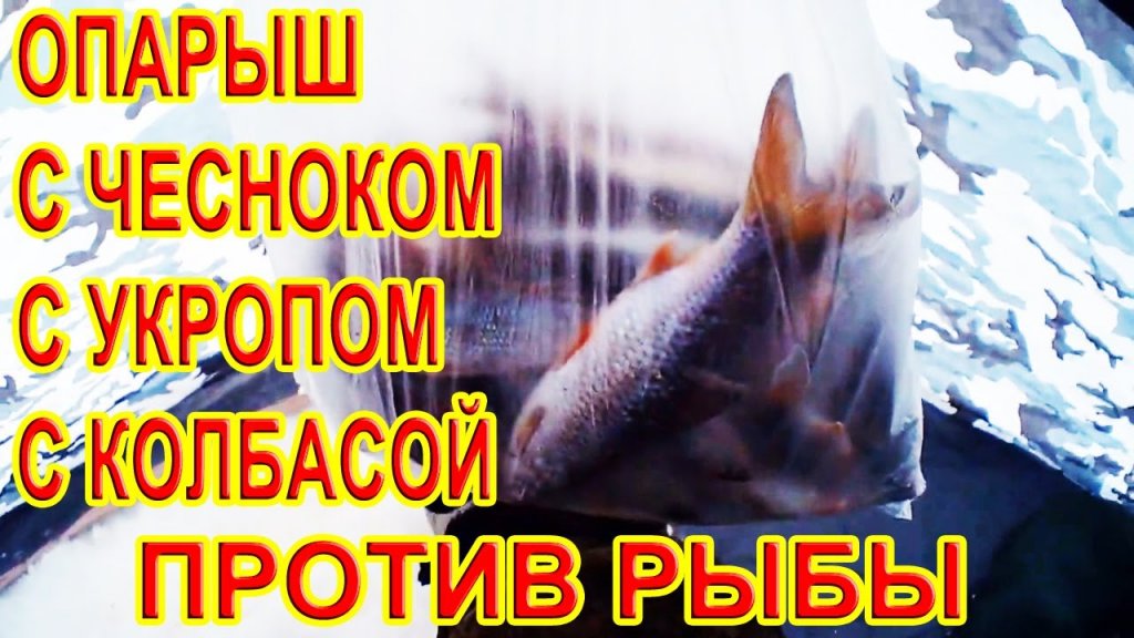 Зимняя Рыбалка на Мормышку, Опарыш с Чесноком, Укропом, Колбасой, ПРОТИВ РЫБЫ! Зимняя Рыбалка на Мормышку, Опарыш с Чесноком, Укропом, Колбасой, ПРОТИВ РЫБЫ!