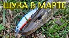 ЩУКА в МАРТЕ. Джиг или воблер? Keitech Swing Impact, Jackall Tiny Magallon, DUO Realis Jerkbait.
