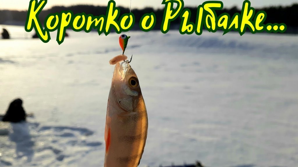 Коротко о рыбалке сегодня | Читать описание Коротко о рыбалке сегодня | Читать описание