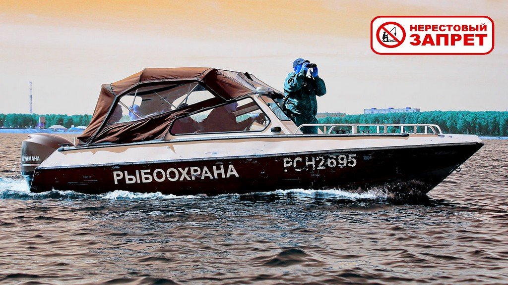 Нерестовый запрет 2023 в Новосибирской области. Когда, где и чем нельзя ловить