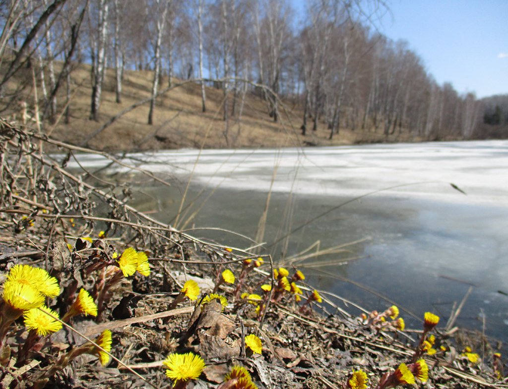 Лёд и пламень.