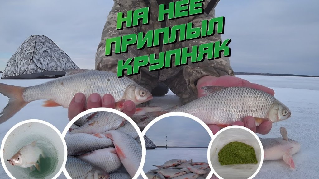 Вырывает леску из рук/весенний жор плотвы. Вырывает леску из рук/весенний жор плотвы.