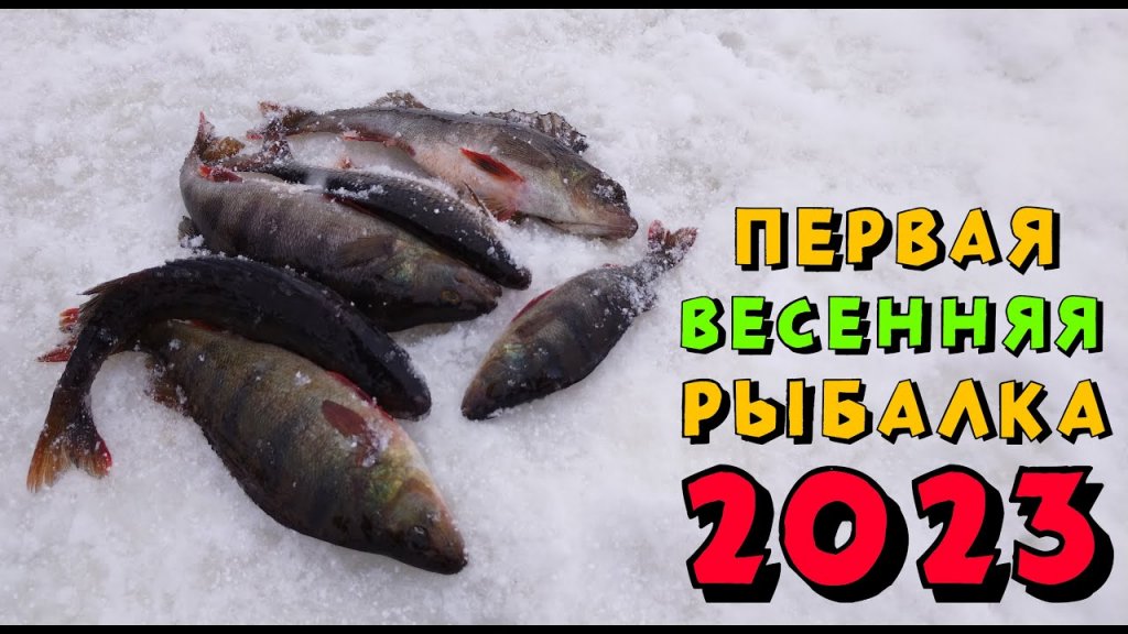 Первая Весенняя рыбалка в 2023 году
