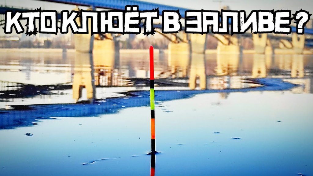 Меляк под метромостом удивил! Крупная рыба клюёт на поплавок весной! Меляк под метромостом удивил! Крупная рыба клюёт на поплавок весной!