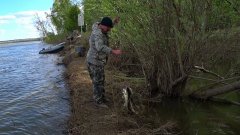 Открыли СЕЗОН! Только поставили РЕЗИНКИ и СРАЗУ НАЛОВИЛИ СУДАКОВ и ЩУК! Отдых, палатки, жарим мясо