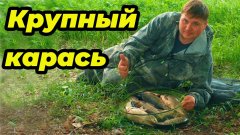 Оторвался по карасю. Фидер на сильном течении. Рыбалка на реке Дон
