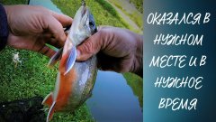 Как бесплатно ловить на килограмовом платнике. 1 часть.