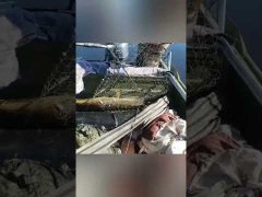 Трофейная щука Якутии!