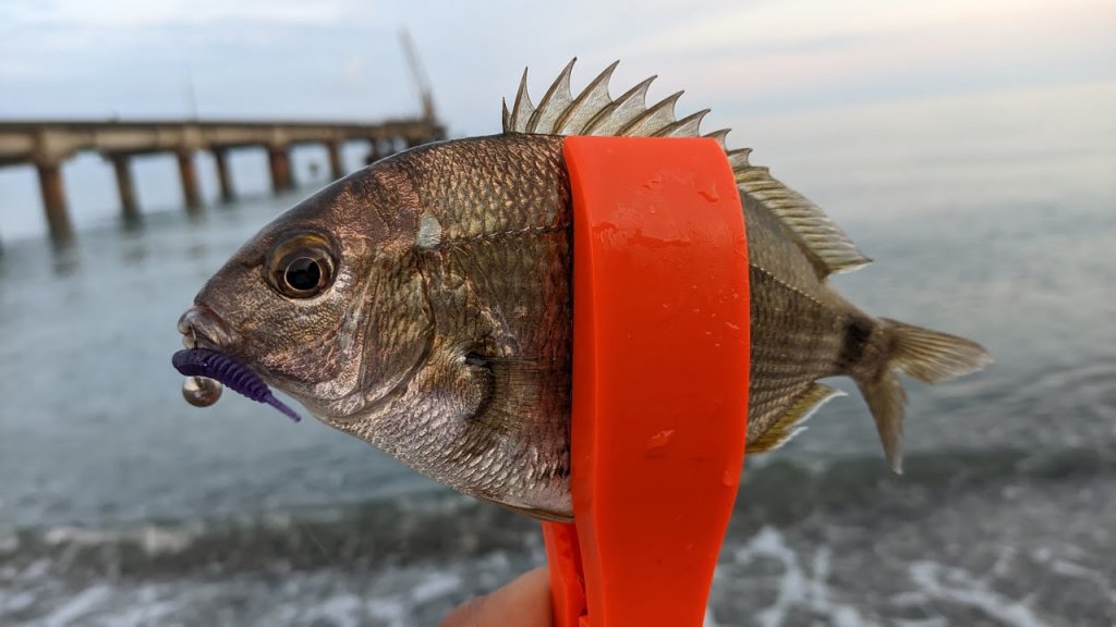 Морская рыбалка на спиннинг в Абхазии 2023. Микроджиг с берега. п.Алахадзы.