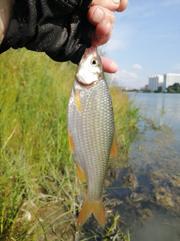 За огородами.