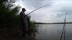 В дикую жару она клюёт на эту НАСАДКУ. 