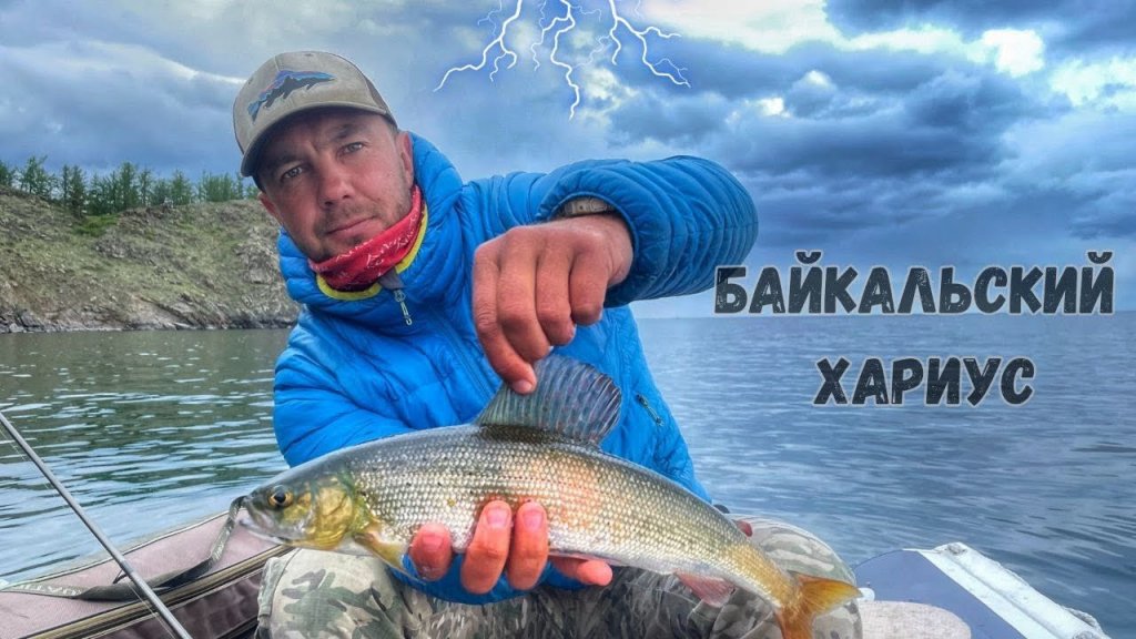 Байкальский хариус