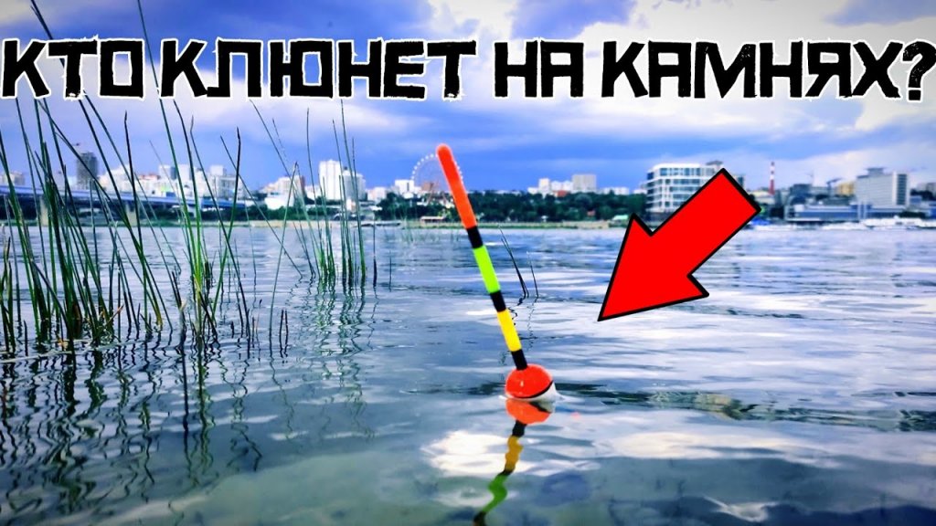 Рыбалка под Метромостом. Видео-весть с водоёма.
