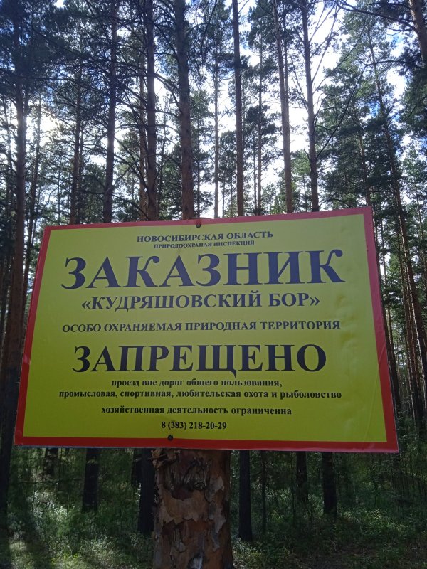 Дополнение к фото - 1🙄