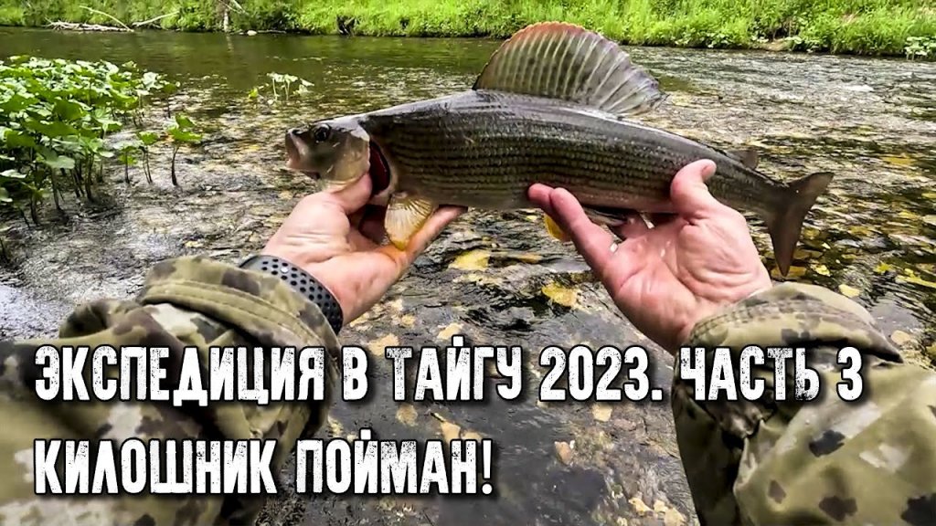 Рыбалка в тайге на севере России - новое видео