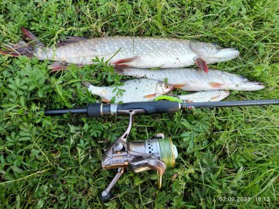 Отчеты о рыбалке в Курске - полезная информация и рекомендации