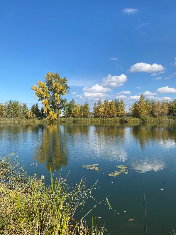 Вот и осень 🍂 пришла