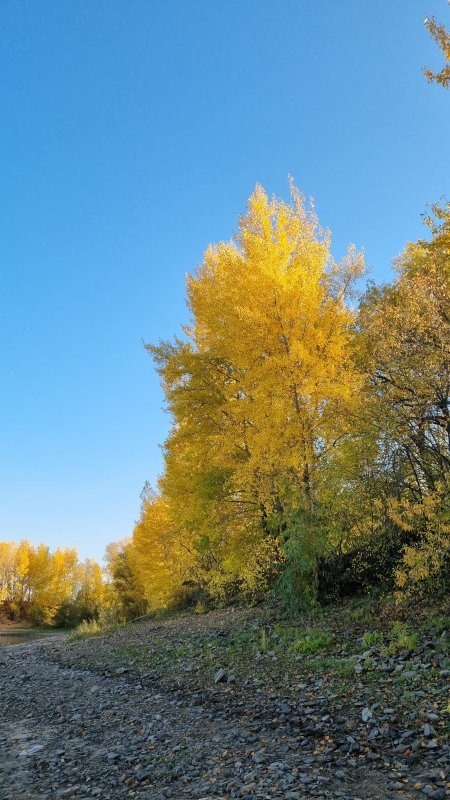 Осень в Затоне