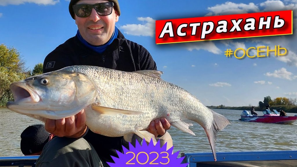 Рыбалка в Астрахани. Жерех. Судак