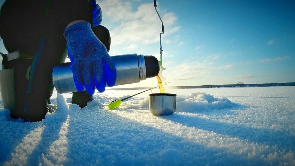 Лучшие термосы для зимней рыбалки. Рейтинг самых популярных моделей 2024