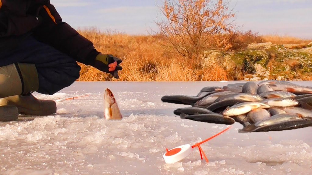 Удачная зимняя рыбалка вышла! Бешеный клев на удочки и много рыбы! Ловля плотвы со льда в глухозимье
